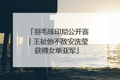 羽毛球印尼公开赛｜王祉怡不敌安洗莹 获得女单亚军