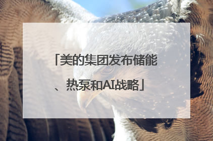 美的集团发布储能、热泵和AI战略