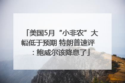 美国5月“小非农”大幅低于预期 特朗普速评：鲍威尔该降息了