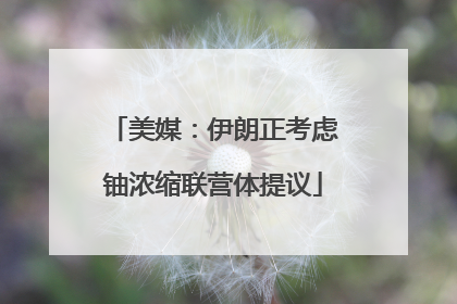 美媒：伊朗正考虑铀浓缩联营体提议