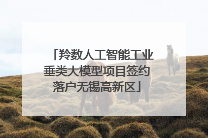 羚数人工智能工业垂类大模型项目签约落户无锡高新区