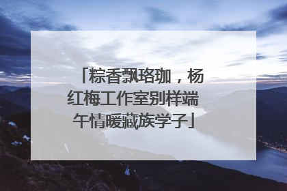 粽香飘珞珈，杨红梅工作室别样端午情暖藏族学子