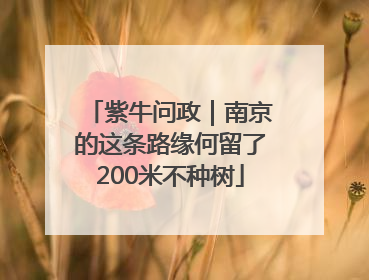 紫牛问政｜南京的这条路缘何留了200米不种树