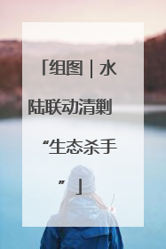 组图｜水陆联动清剿“生态杀手”