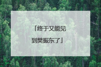 终于又能见到樊振东了