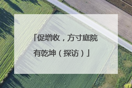 促增收，方寸庭院有乾坤（探访）
