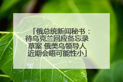 俄总统新闻秘书：待乌克兰回应备忘录草案 俄美乌领导人近期会晤可能性小