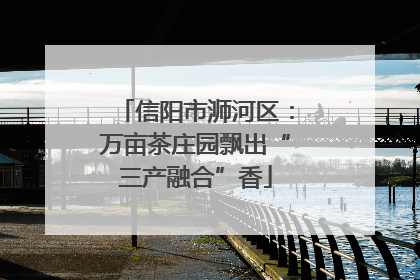 信阳市浉河区：万亩茶庄园飘出“三产融合”香