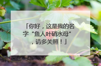 你好，这是我的名字“鱼人叶硝水母”，请多关照！