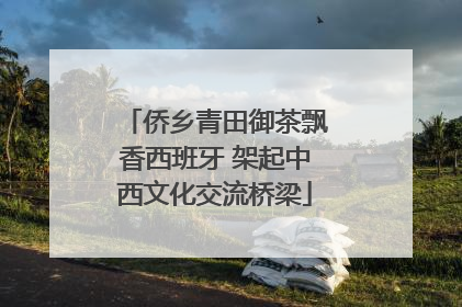 侨乡青田御茶飘香西班牙 架起中西文化交流桥梁
