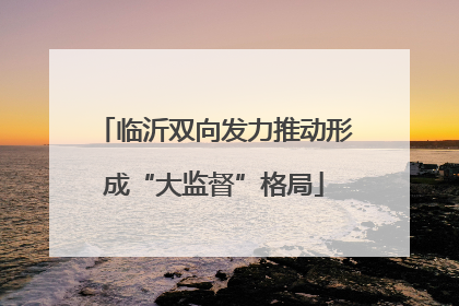 临沂双向发力推动形成“大监督”格局