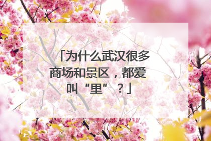 为什么武汉很多商场和景区，都爱叫“里”？