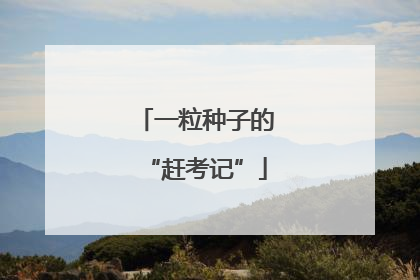 一粒种子的“赶考记”