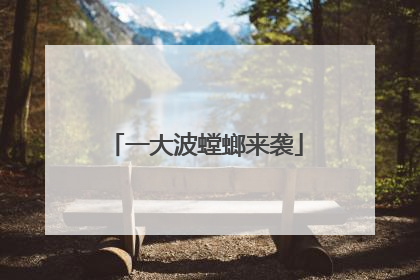 一大波螳螂来袭