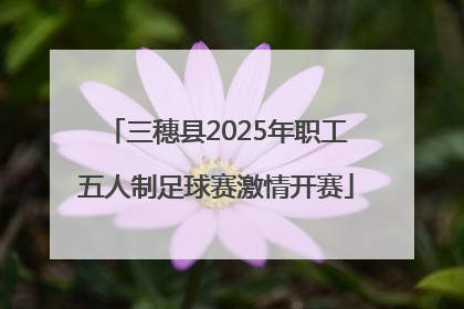 三穗县2025年职工五人制足球赛激情开赛