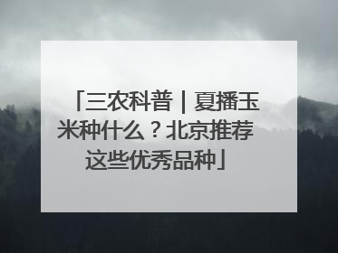 三农科普｜夏播玉米种什么？北京推荐这些优秀品种