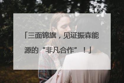 三面锦旗，见证振森能源的“非凡合作”！