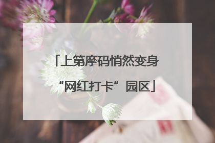 上第摩码悄然变身“网红打卡”园区