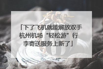 下了飞机就能解放双手 杭州机场“轻松游”行李寄送服务上新了