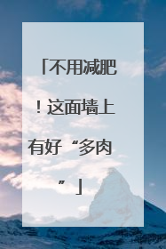不用减肥！这面墙上有好“多肉”