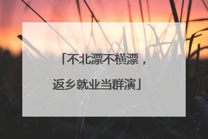 不北漂不横漂，返乡就业当群演