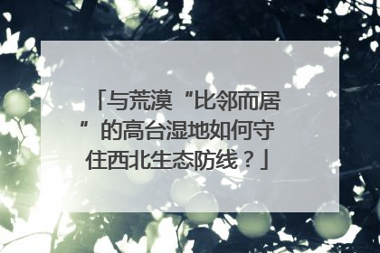 与荒漠“比邻而居”的高台湿地如何守住西北生态防线？