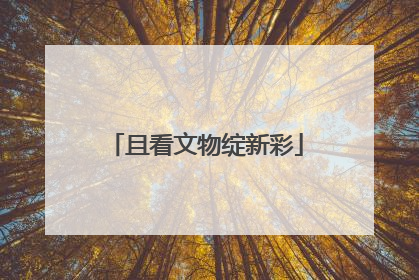 且看文物绽新彩