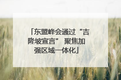 东盟峰会通过“吉隆坡宣言” 聚焦加强区域一体化