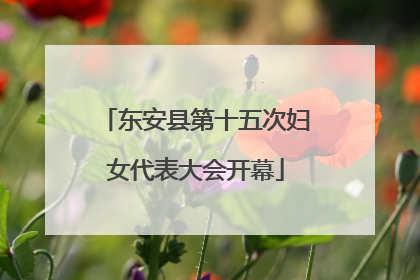 东安县第十五次妇女代表大会开幕