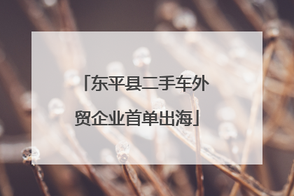 东平县二手车外贸企业首单出海