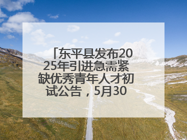 东平县发布2025年引进急需紧缺优秀青年人才初试公告，5月30日开展面谈