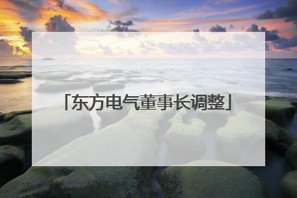 东方电气董事长调整