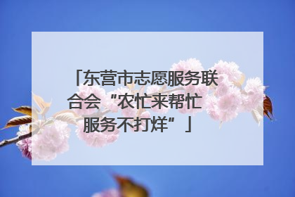 东营市志愿服务联合会“农忙来帮忙 服务不打烊”