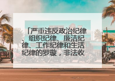 严重违反政治纪律、组织纪律、廉洁纪律、工作纪律和生活纪律的罗璇，非法收受他人巨额财物