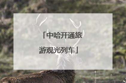 中哈开通旅游观光列车