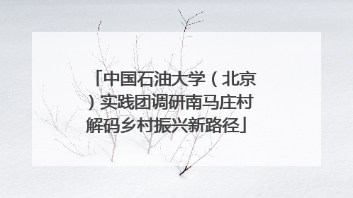 中国石油大学（北京）实践团调研南马庄村解码乡村振兴新路径
