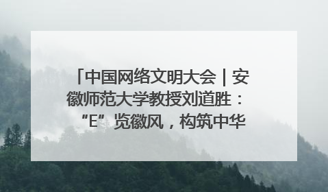 中国网络文明大会｜安徽师范大学教授刘道胜：“E”览徽风，构筑中华民族共有精神家园
