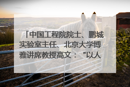 中国工程院院士、鹏城实验室主任、北京大学博雅讲席教授高文：“以人为本 智能向善” 推动文化与科技相生相促｜聚焦2025文化强国建设高峰论坛