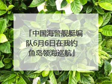 中国海警舰艇编队6月6日在我钓鱼岛领海巡航