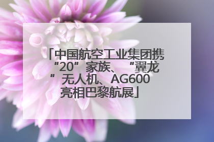 中国航空工业集团携“20”家族、“翼龙”无人机、AG600亮相巴黎航展