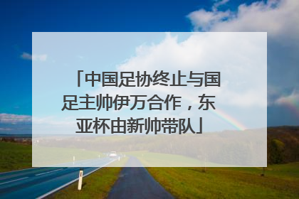中国足协终止与国足主帅伊万合作，东亚杯由新帅带队