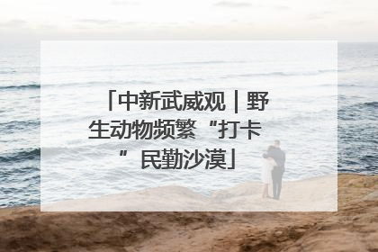 中新武威观｜野生动物频繁“打卡”民勤沙漠