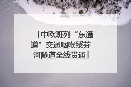 中欧班列“东通道”交通咽喉绥芬河隧道全线贯通