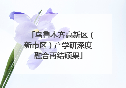 乌鲁木齐高新区（新市区）产学研深度融合再结硕果
