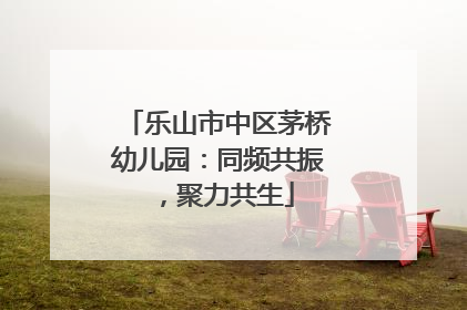 乐山市中区茅桥幼儿园：同频共振，聚力共生