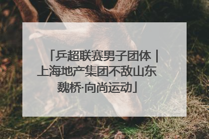 乒超联赛男子团体｜上海地产集团不敌山东魏桥·向尚运动
