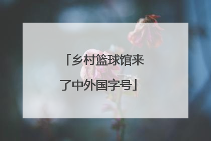 乡村篮球馆来了中外国字号