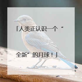 人类正认识一个“全新”的月球！
