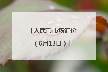 人民币市场汇价（6月13日）