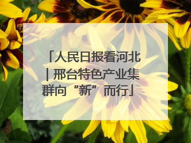 人民日报看河北｜邢台特色产业集群向“新”而行